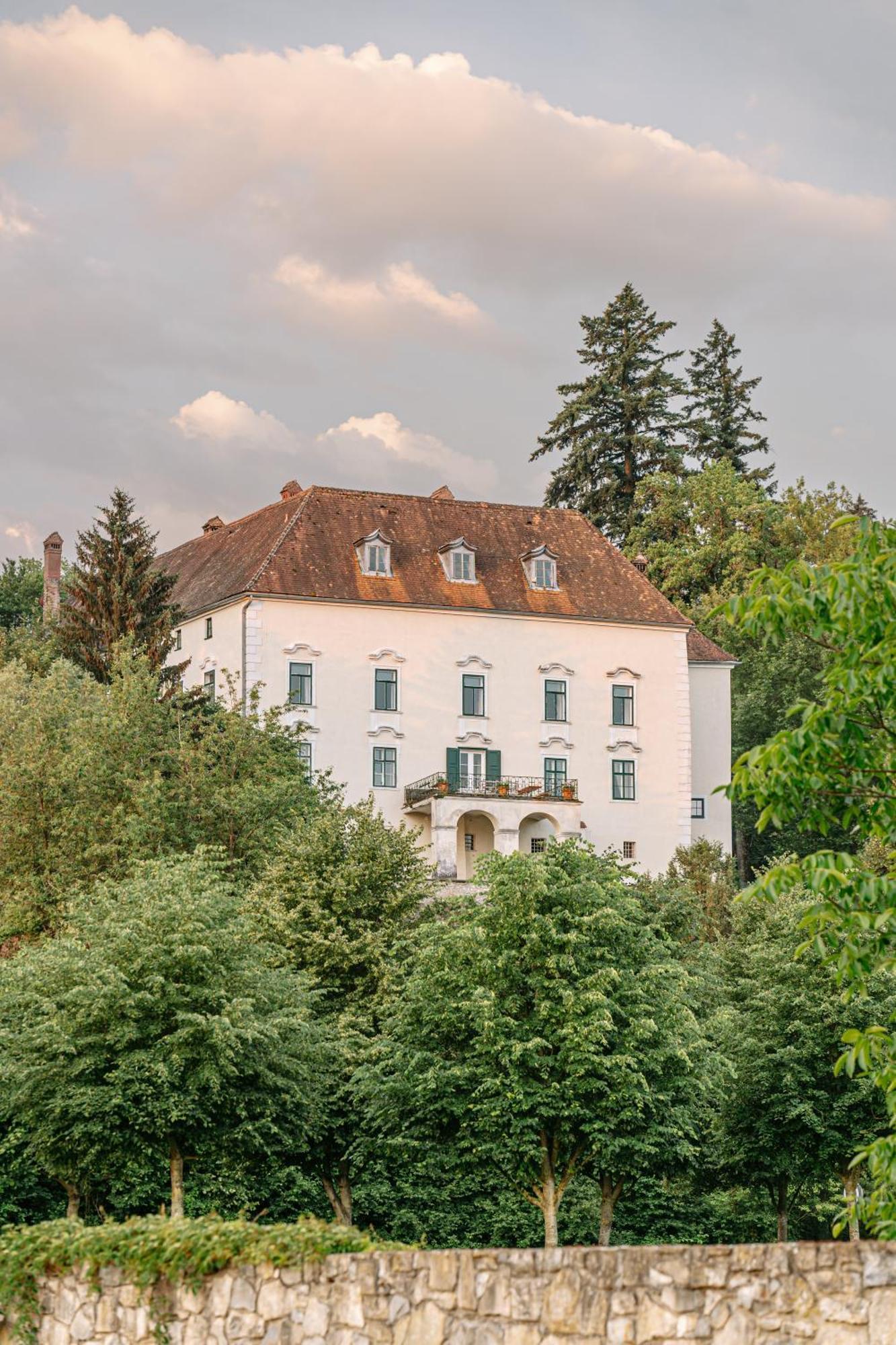 Schloss Ernegg Steinakirchen Am Forst Exterior foto